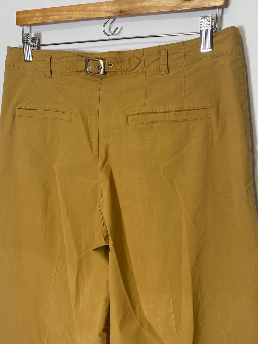 Anthropologie Women's Wide leg Cropped Pants 6 Pleated Neutral Casual